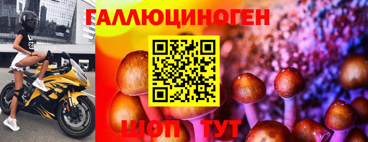 Псилоцибиновые грибы GOLDEN TEACHER  Вход с VPN  Галлюциногенные грибы Cubensis  Горно-Алтайск 