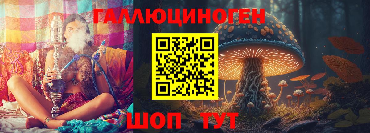 Псилоцибиновые грибы GOLDEN TEACHER Горно-Алтайск